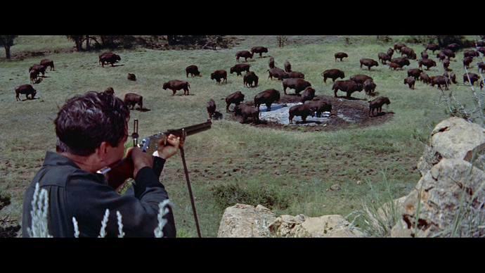 vlcsnap-2019-12-09-23h29m47s882