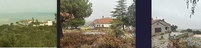 Logans hus film + nytt + nytt