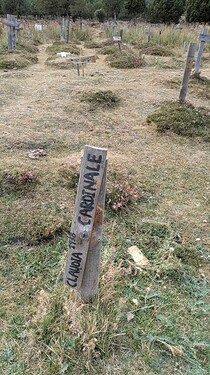 PXL_20250919_143529730