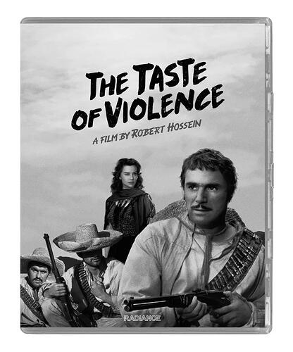 THE_TASTE_OF_VIOLENCE_2D_FRONT