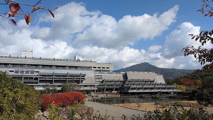 PXL_20251110_031401923