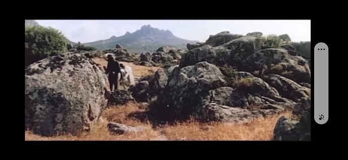 Screenshot_20250601-225627_Brave