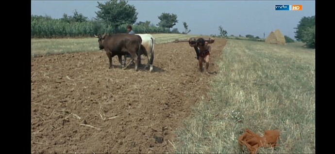 Screenshot_20240314-095041